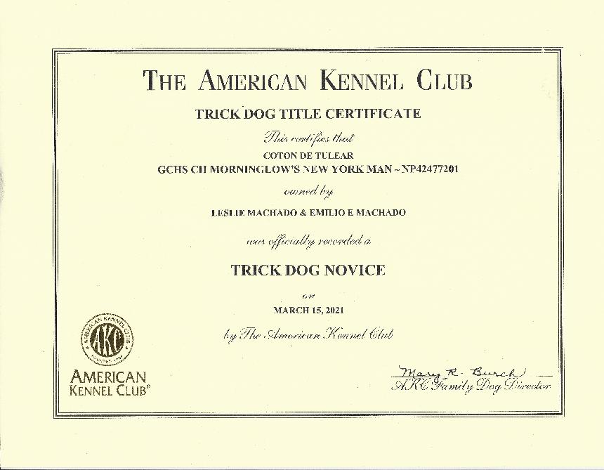 Akc graduate cheap novice